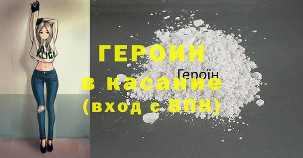 шишки Няндома