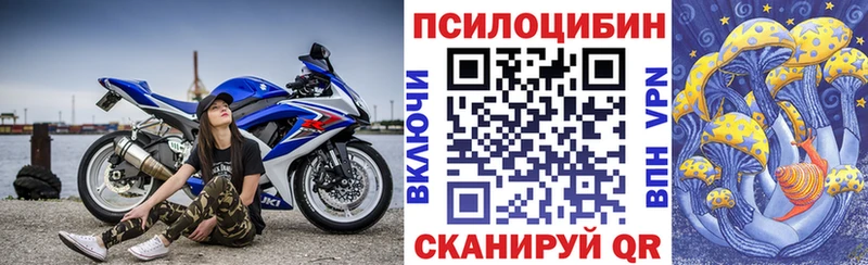 Псилоцибиновые грибы Cubensis  Касимов 